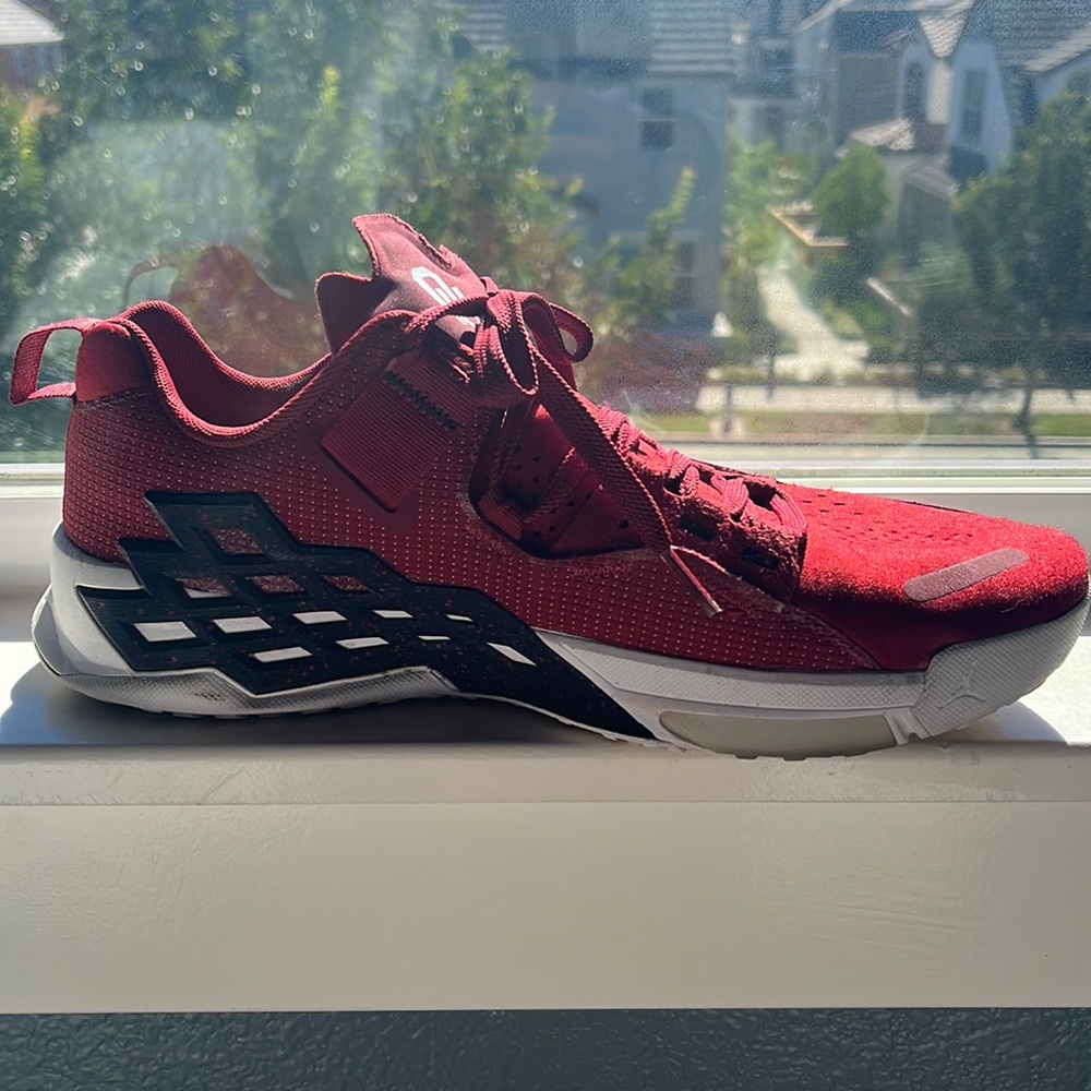 Jordan Alpha 360 OU Custom/Exclusive Jordan Custom Made Shoes